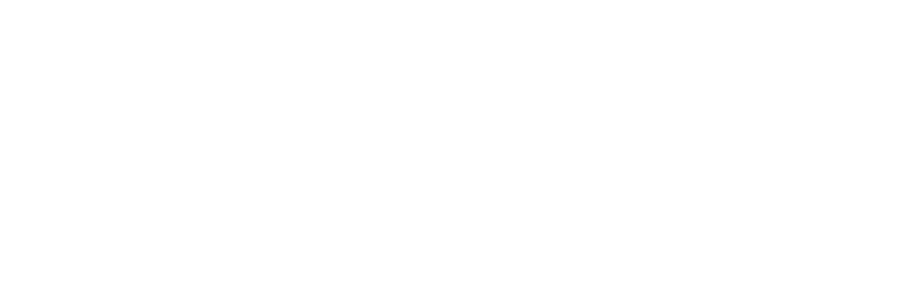 BVIX Seguradora